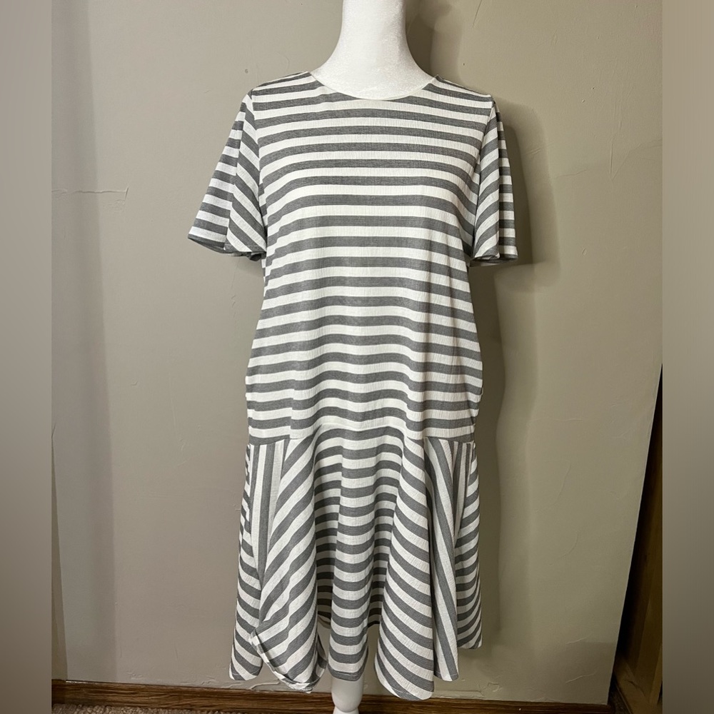 Spring Striped Petite Dress from Ann Taylor